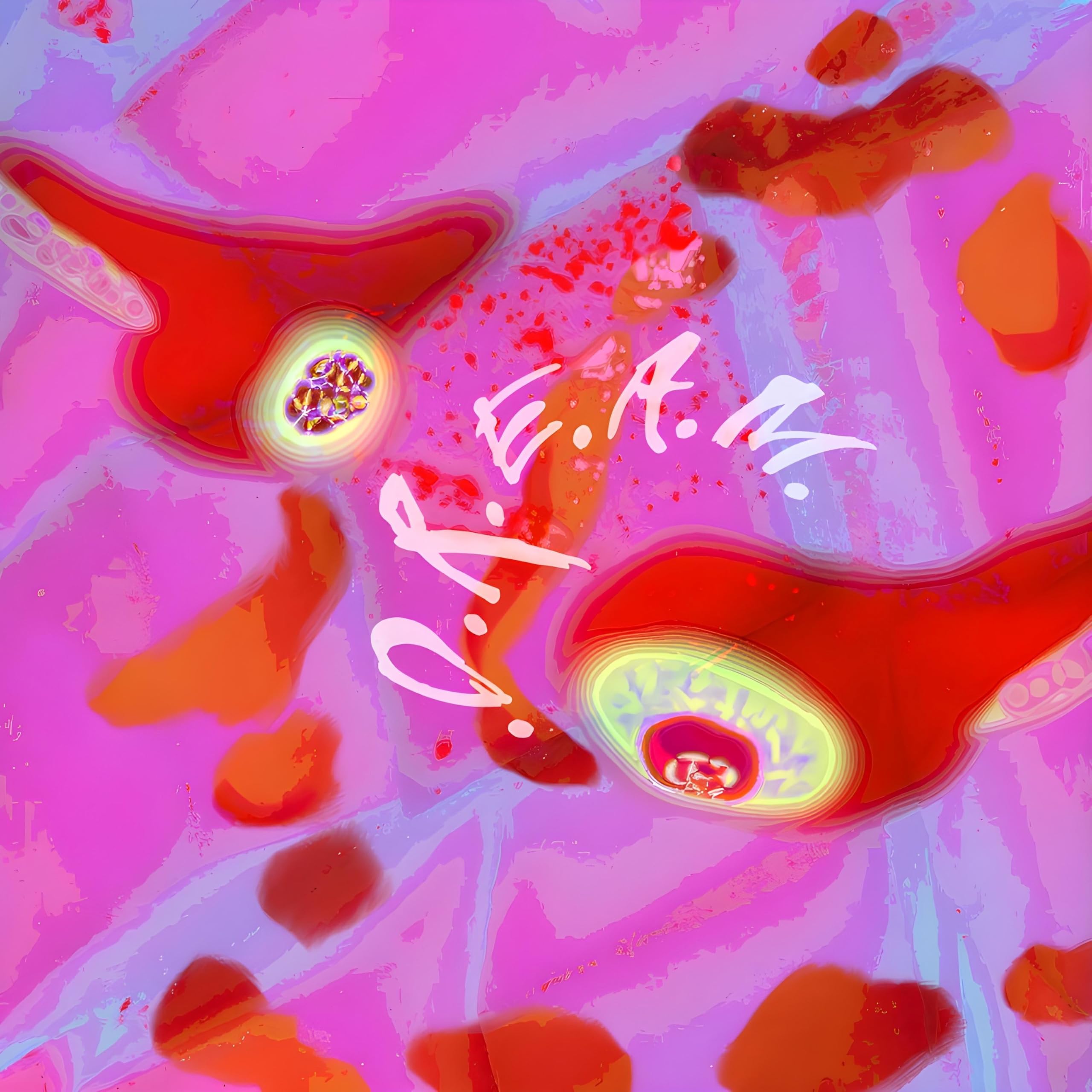 Image Cover